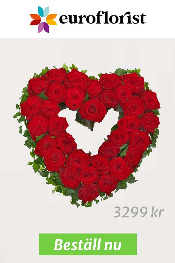 Begravningsblommor hjärta. Ett begravningshjärta av röda rosor.