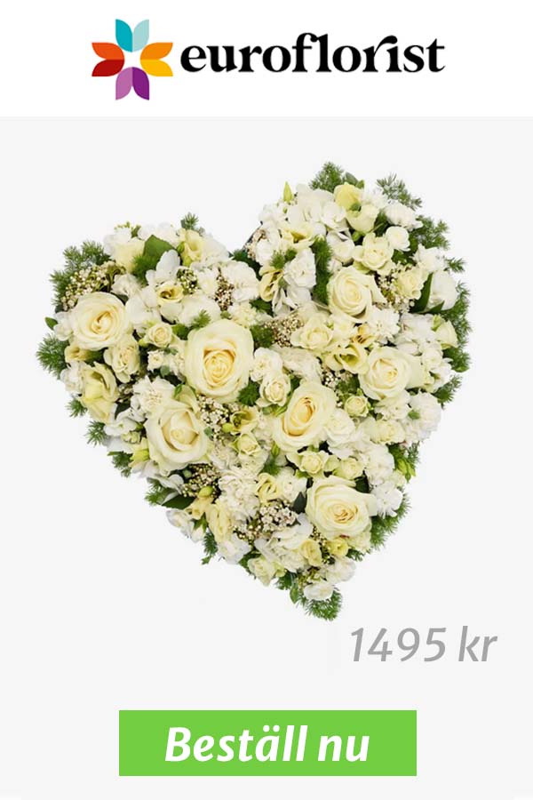 Vackert begravningshjärta av vita rosor.